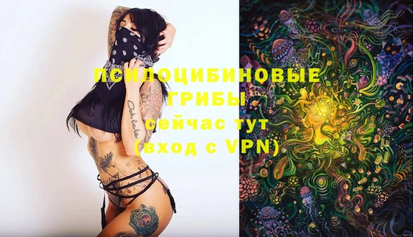 тгк Вязьма
