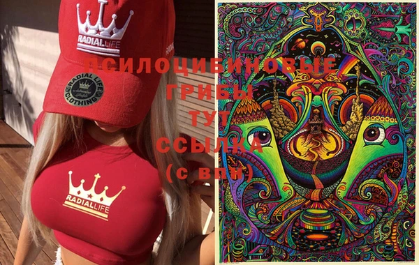 гашиш Вяземский